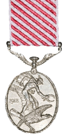 Airforce Medal